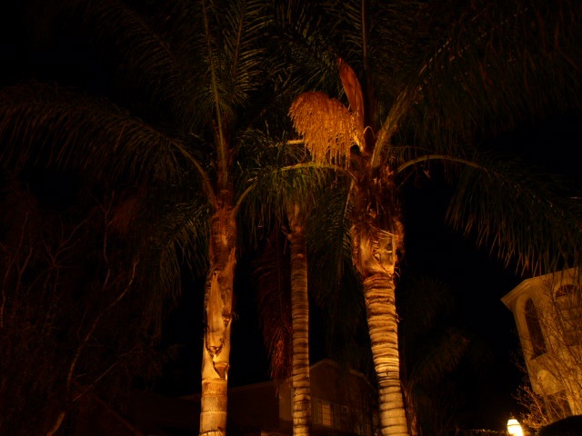 camarillo outdoor lighting