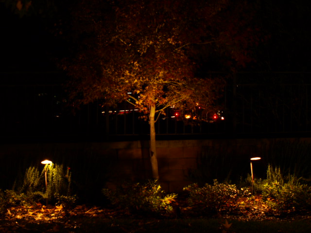 simi valley outdoor lighting tulip lighting